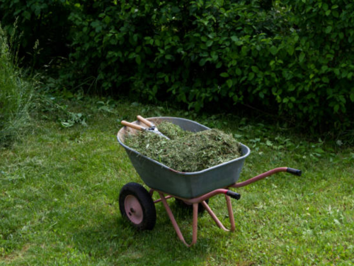 Stump Grinding Reidsville, NC