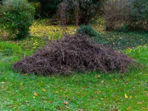 Tree/Stump Removal Alamance County, NC
