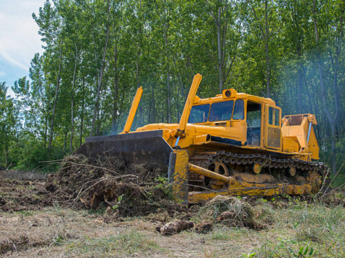 Rubbish Removal in Alamance County, NC