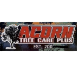 Tree Care Services Alamance County, NC