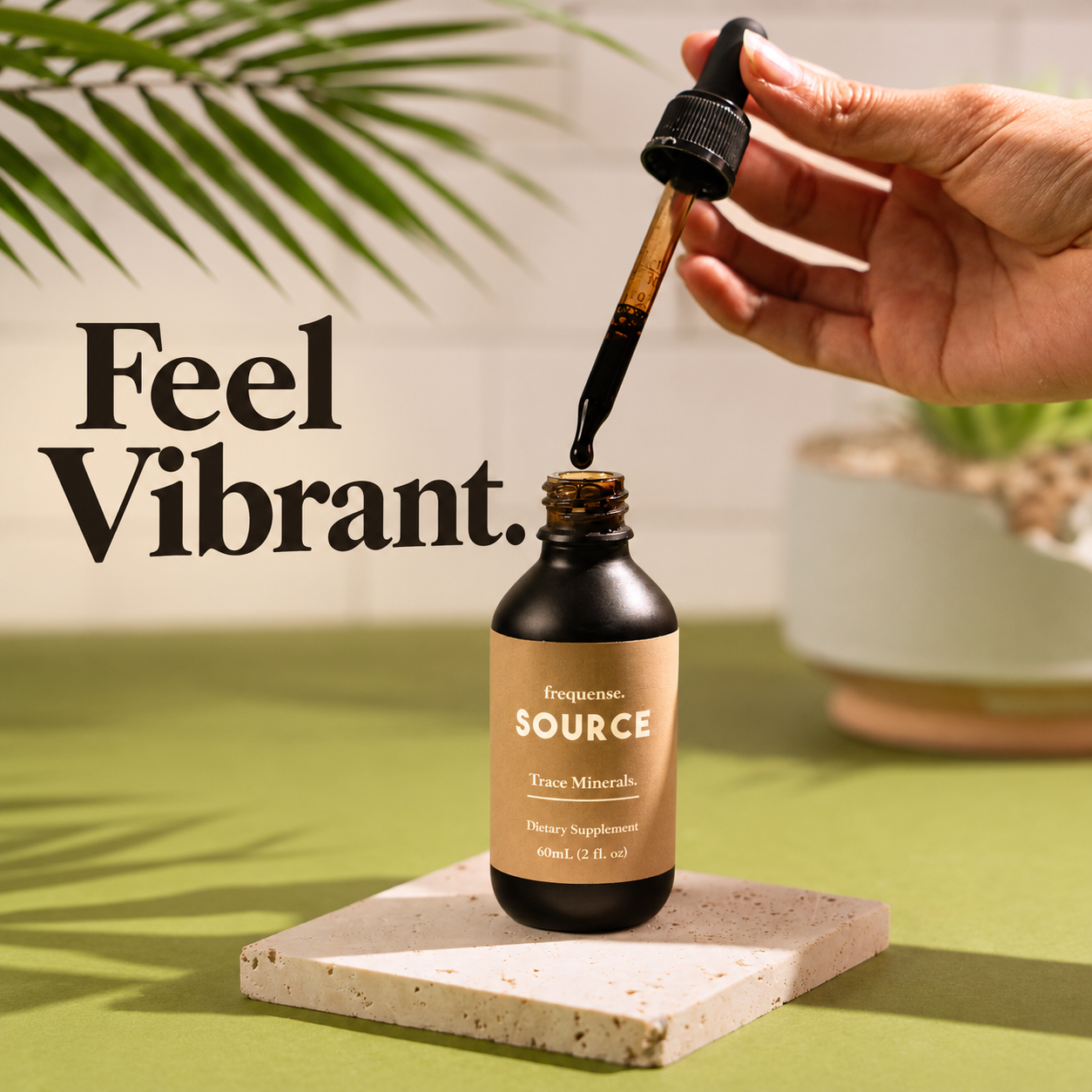 Belly Digestive Wellness Product Line