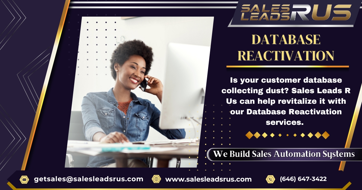 Sales Systems R Us - Database Reactivation