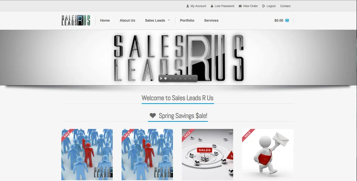 Brand identity web design project