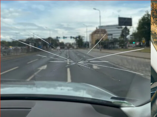 Cracked windshield requiring professional assessment