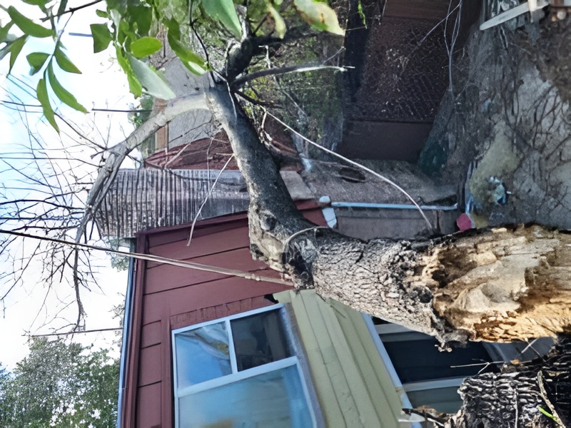 {{ custom_values.service_3 }} in {{custom_values.area_3})