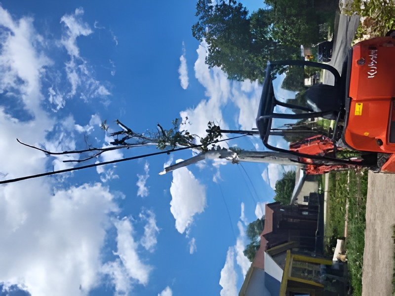 {{ custom_values.service_4 }} in {{custom_values.area_2})