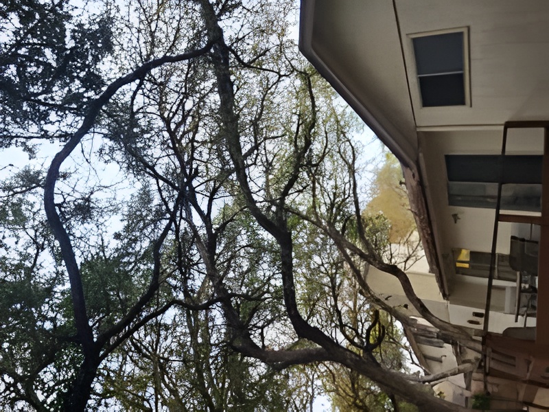 {{ custom_values.service_2 }} in {{custom_values.area_2})