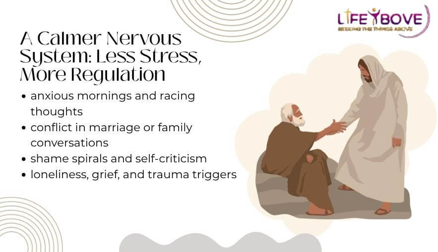 A Calmer Nervous System