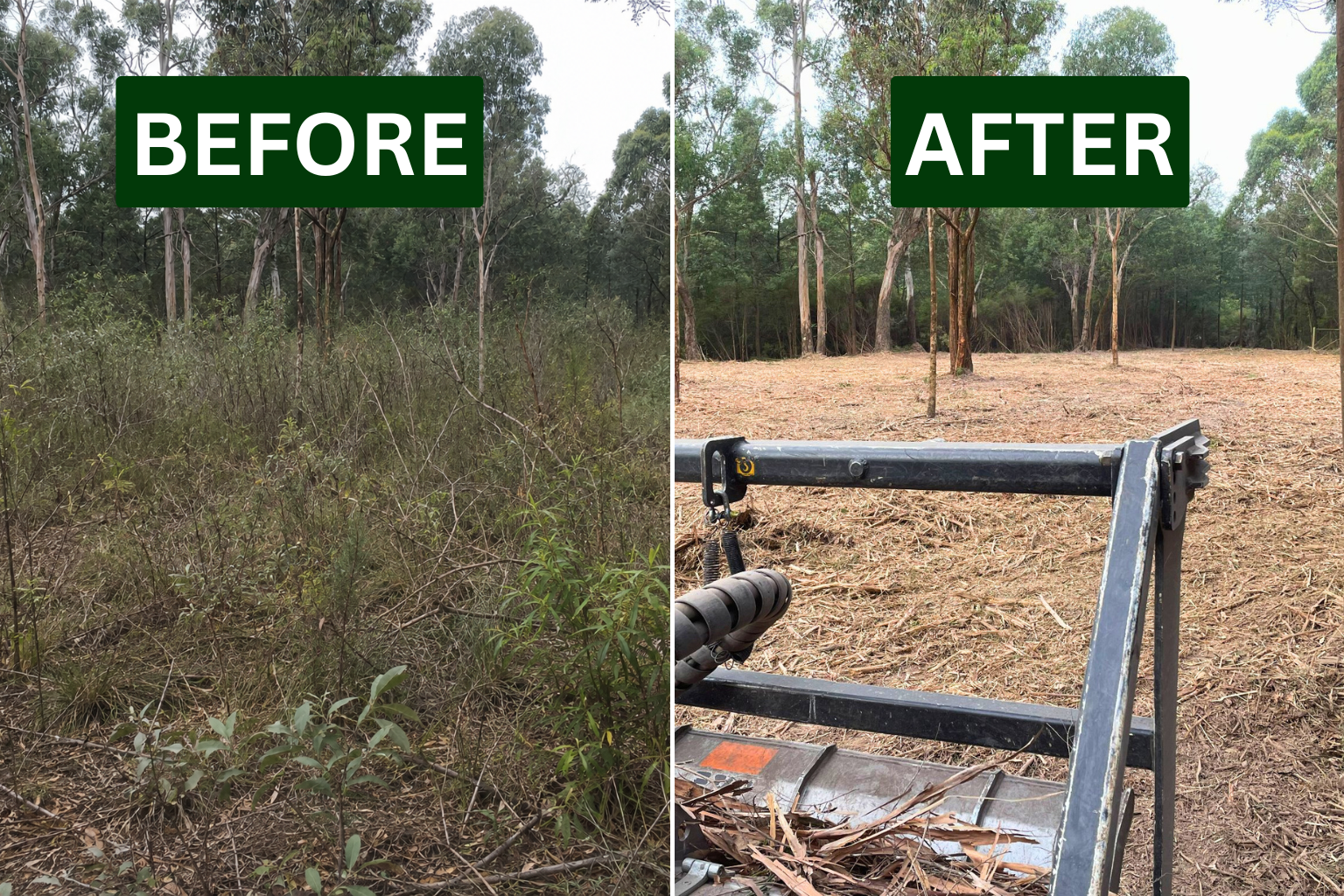 Before and after photos of a recent land clearing job by Riley Property Improvement