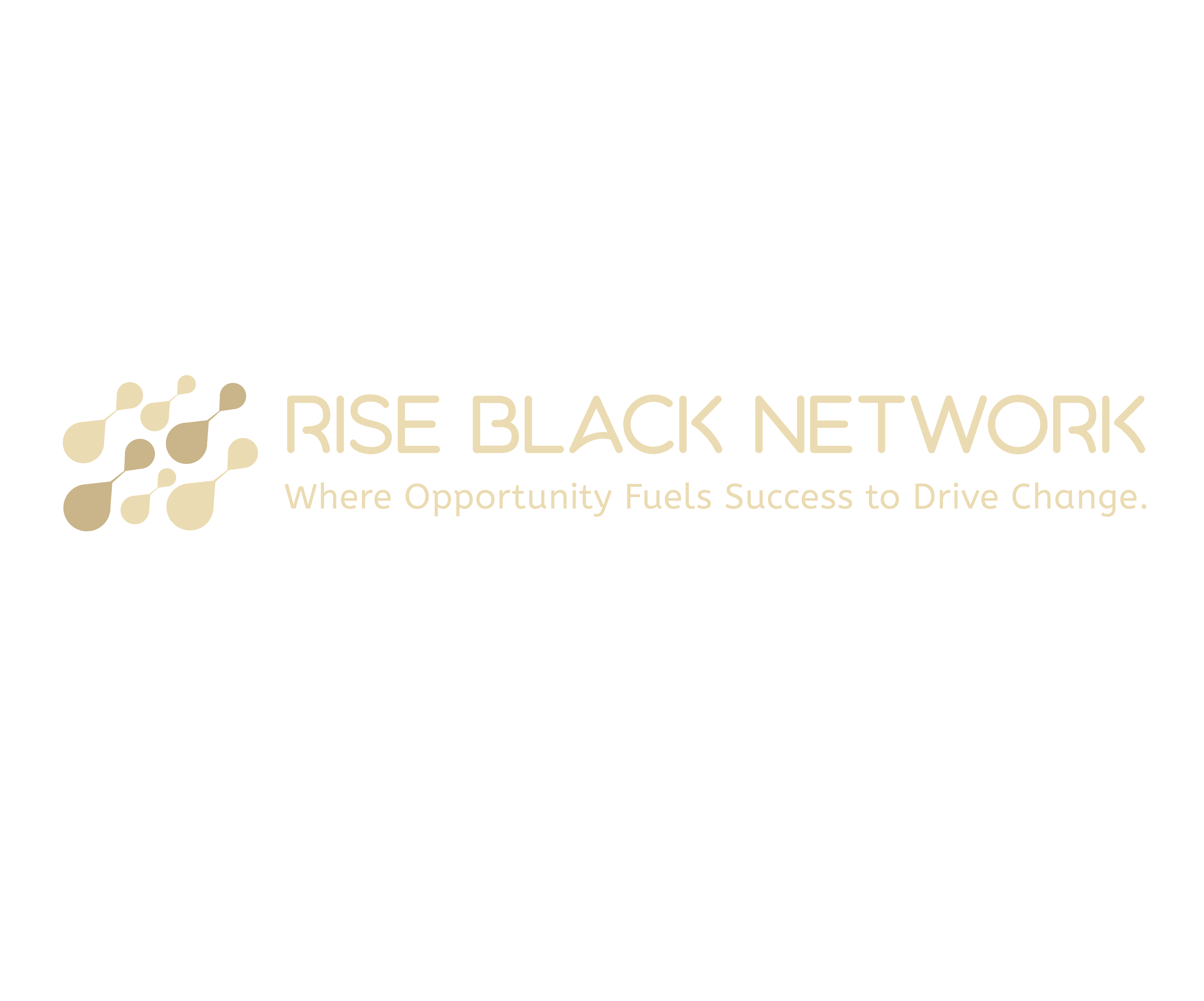 Rise Black Network