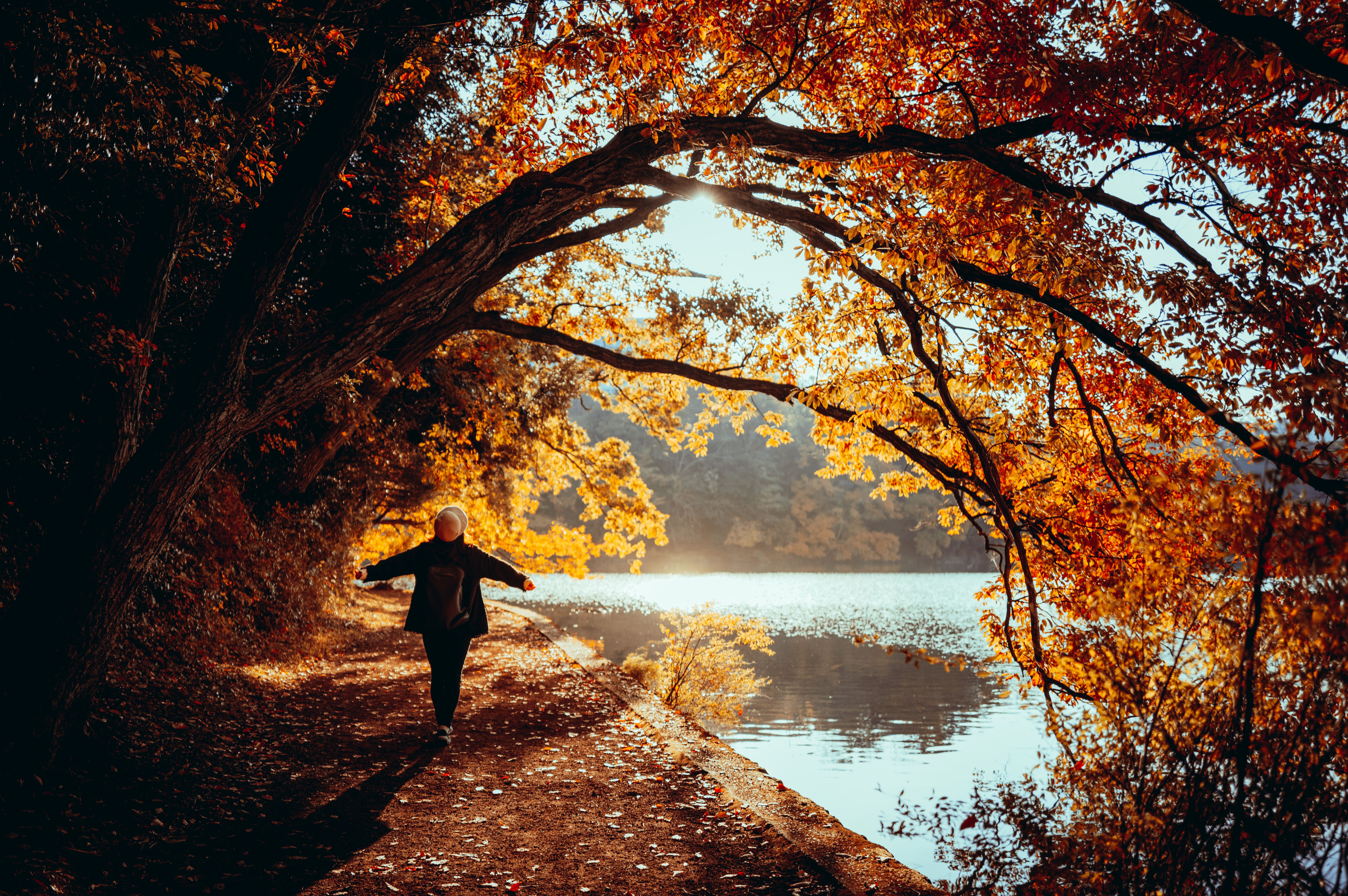 Person walking with arms open under golden autumn trees beside a lake Person walking with arms open under golden autumn trees beside a lake
