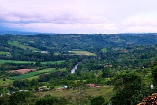 Rolling regenerated farmland and forest along a river valley