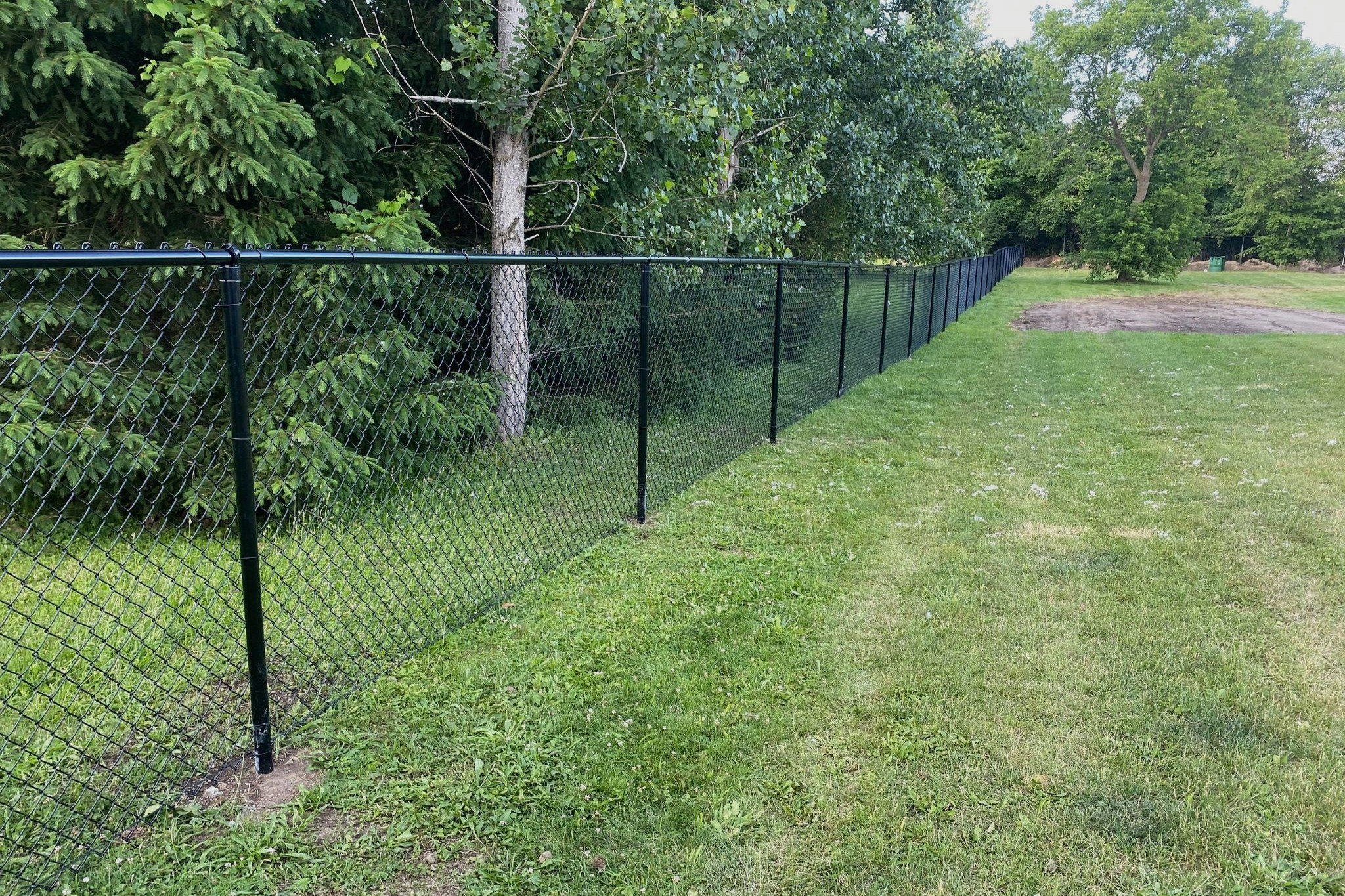 Black chain-link fence along backyard