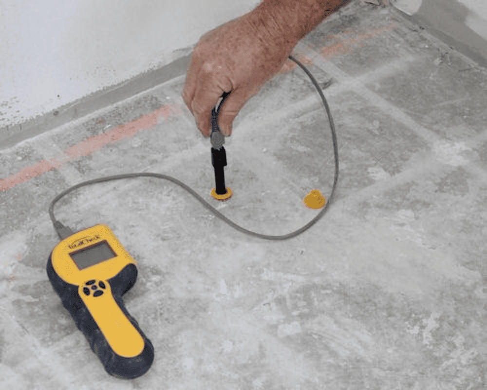 Moisture Mitigation & Subfloor Repair