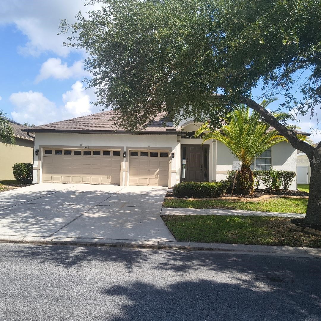 20016 Oakflower Avenue Tampa