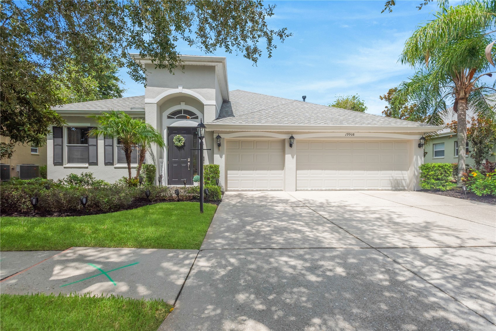 19908 Bluff Oak Boulevard Tampa