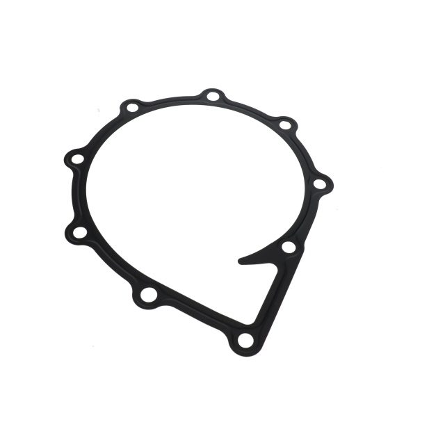 WATER PUMP GASKET TO SUIT MAN