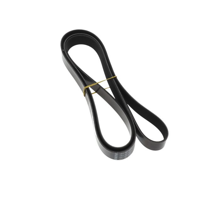 POLY RIB BELT photo 2