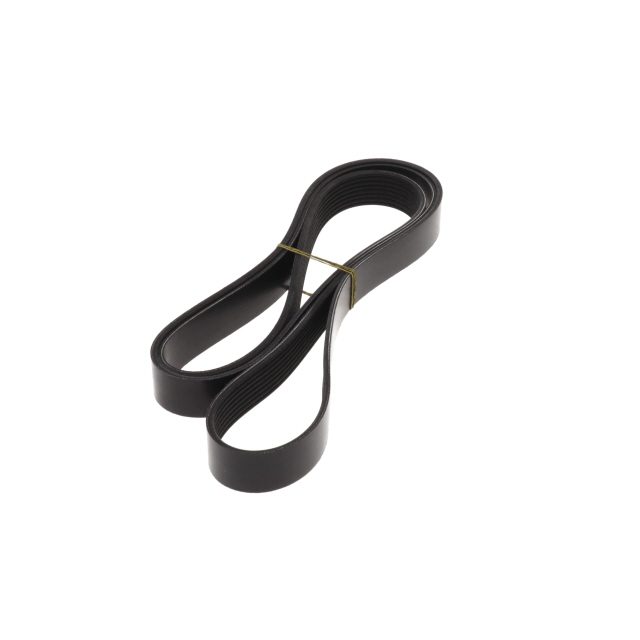 POLY RIB BELT photo 4