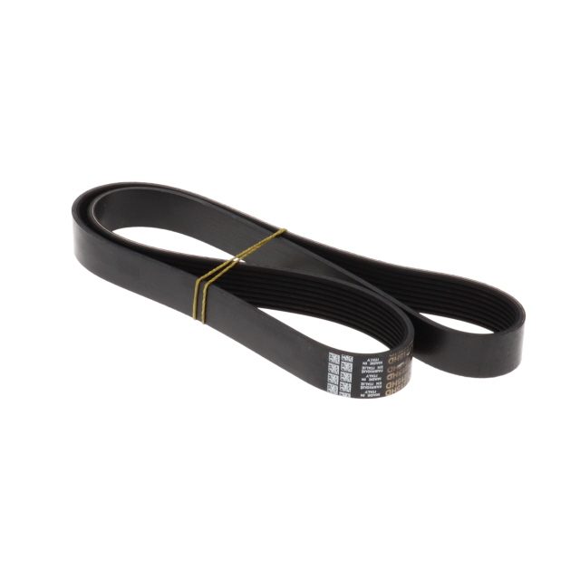 POLY RIB BELT photo 3