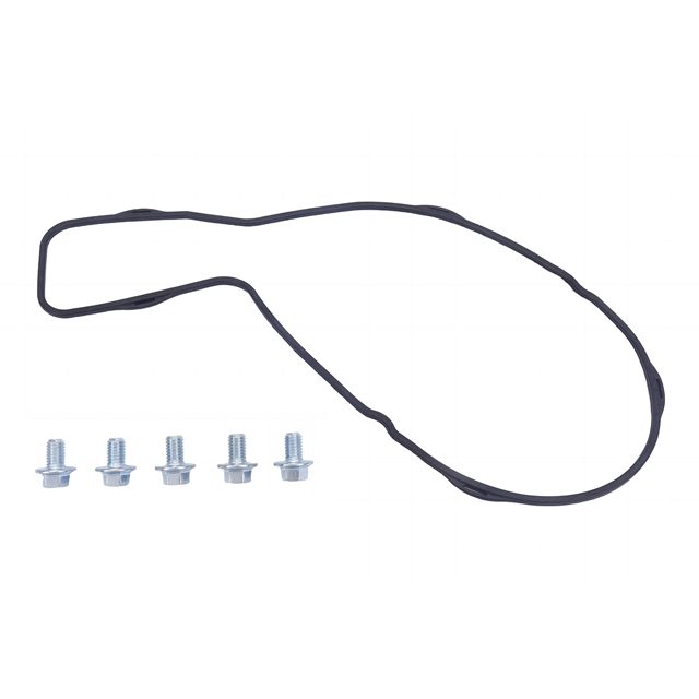 Water pump kit