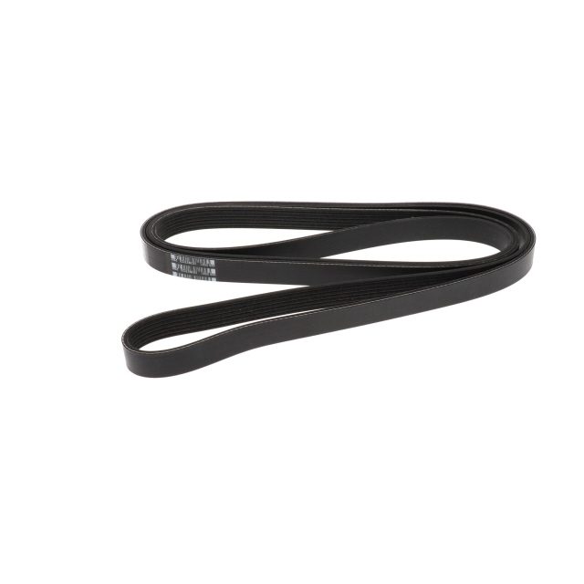 POLY RIB BELT photo 2