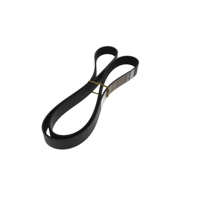 POLY RIB BELT photo 4