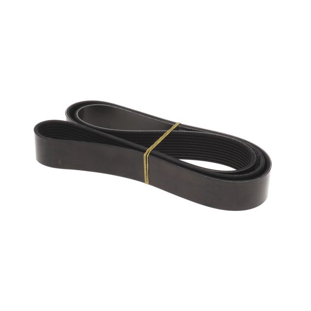 POLY RIB BELT photo 3