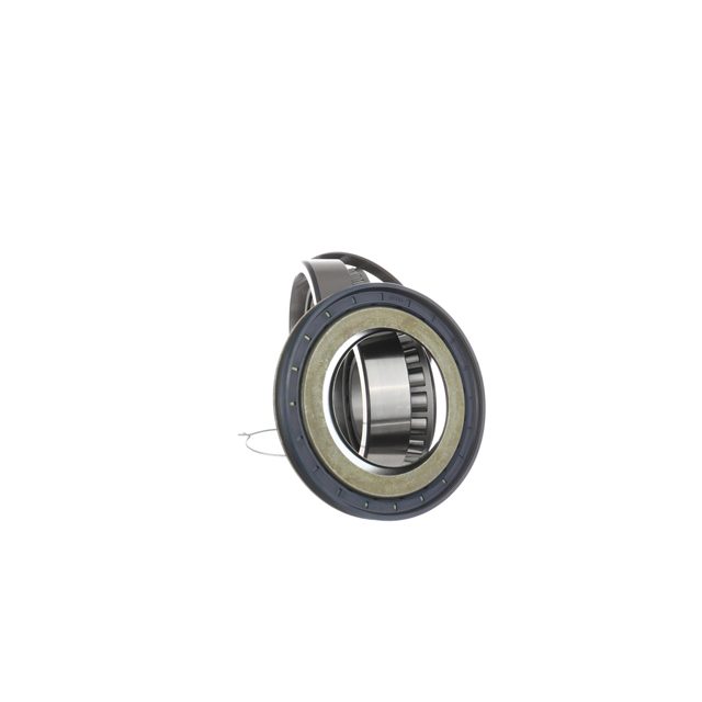 WHEEL BEARING KIT SKF