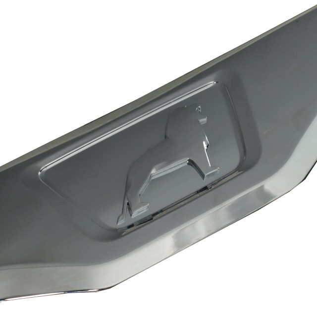 UPPER GRILLE CHROME INSERT MAN TGX E6 photo 2