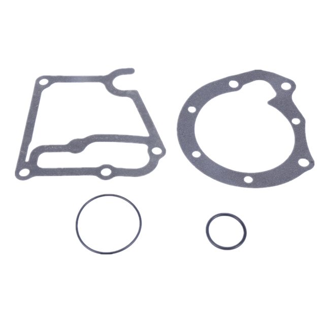 Water pump kit