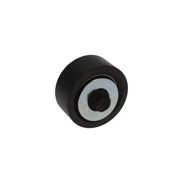 AUXILIARY IDLER