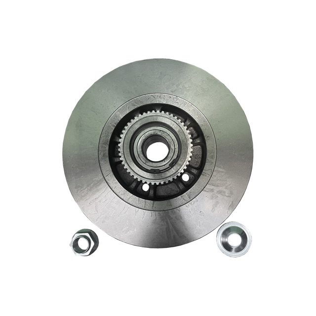 Brake Disc suits RENAULT Trafic Rear photo 2
