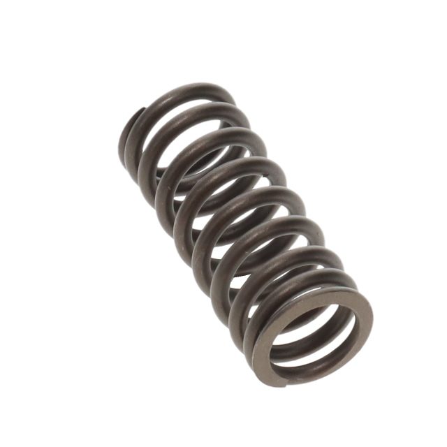 VALVE SPRING TO SUIT MAN photo 2