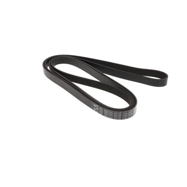 POLY RIB BELT photo 4