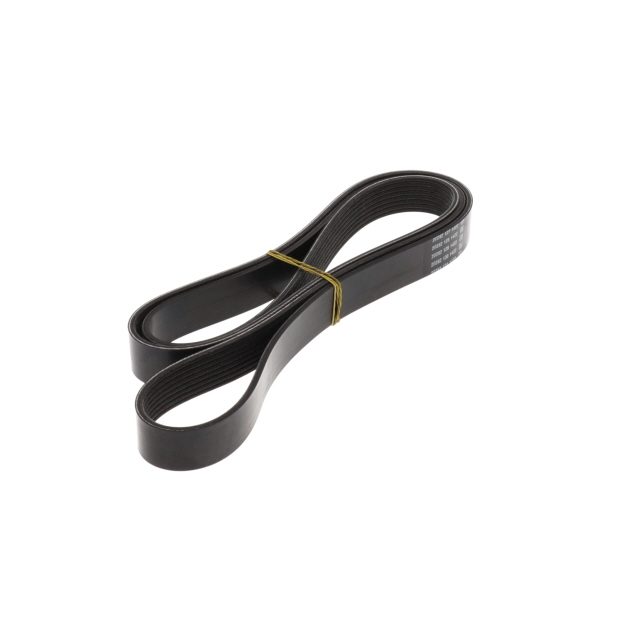POLY RIB BELT photo 4