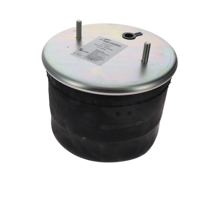 AIR SPRING ASSEMBLY (ASK020) PLASTIC PISTON BPW photo 2
