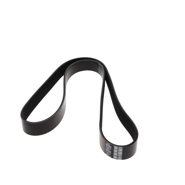 POLY RIB BELT photo 2