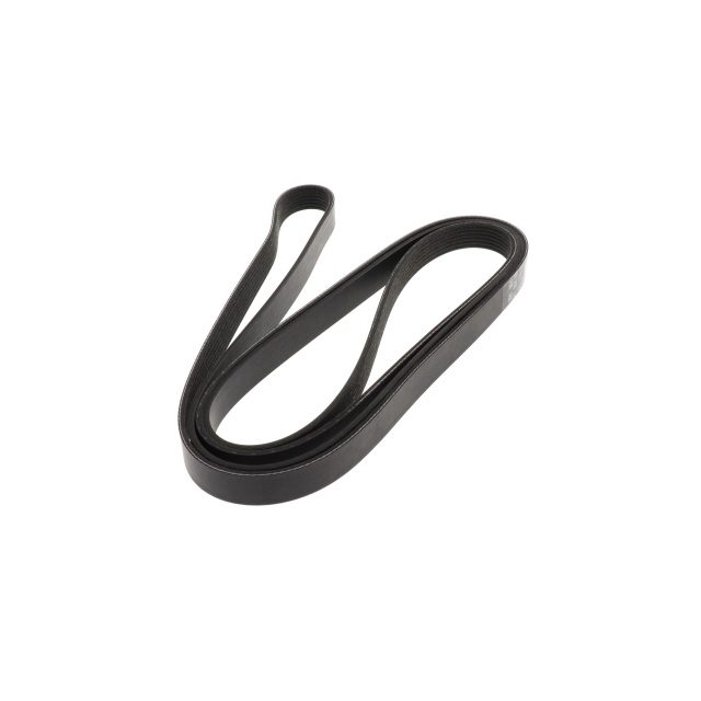 POLY RIB BELT photo 3