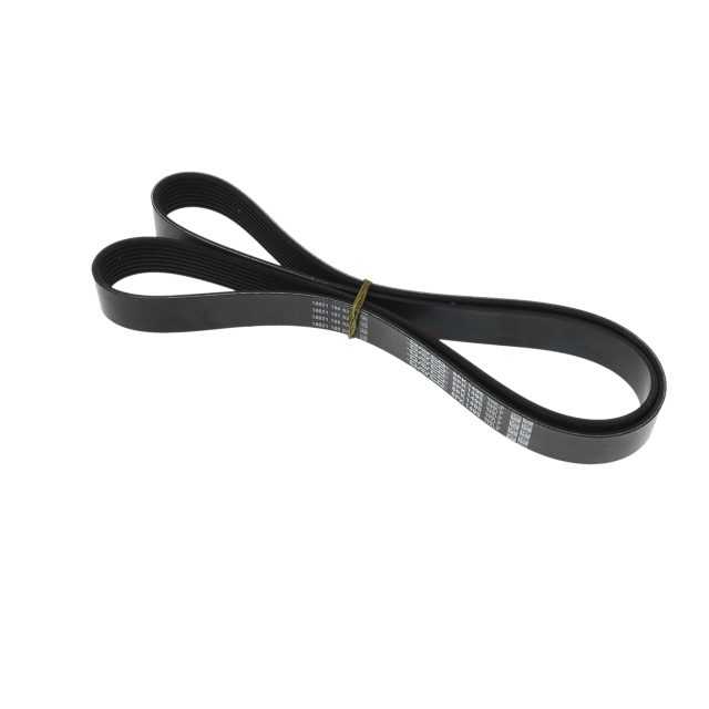 POLY RIB BELT photo 3