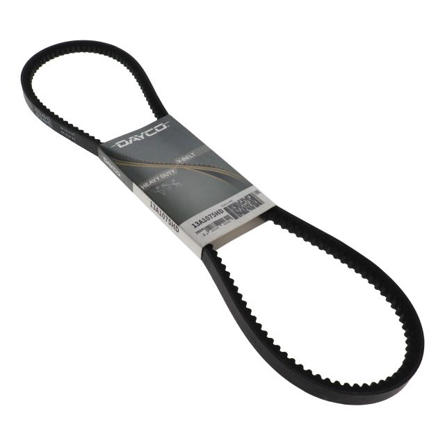 V BELT photo 2