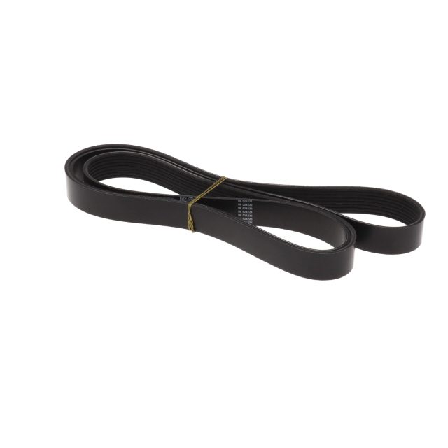 POLY RIB BELT photo 3