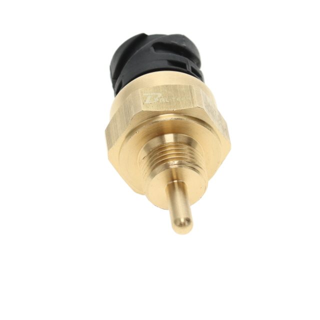 TEMPERATURE SENSOR TO SUIT MAN photo 2