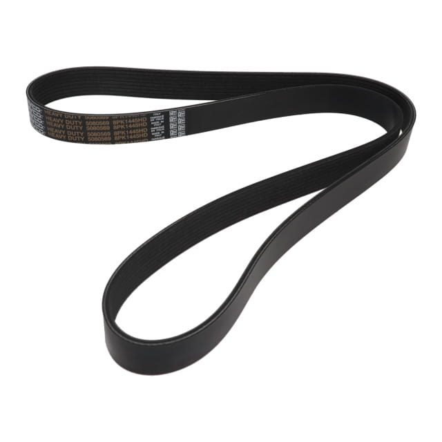 POLY RIB BELT photo 2