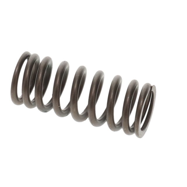 VALVE SPRING TO SUIT MAN photo 3