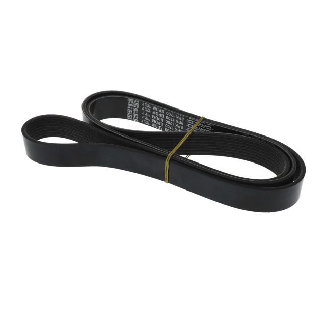 POLY RIB BELT photo 3