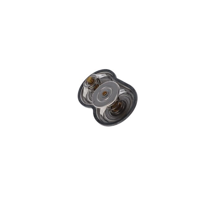 DOUBLE THERMOSTAT KIT FOR SCANIA 88C photo 2