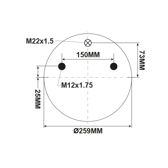 AIR SPRING ASSEMBLY (ASK020) STEEL PISTON BPW photo 2
