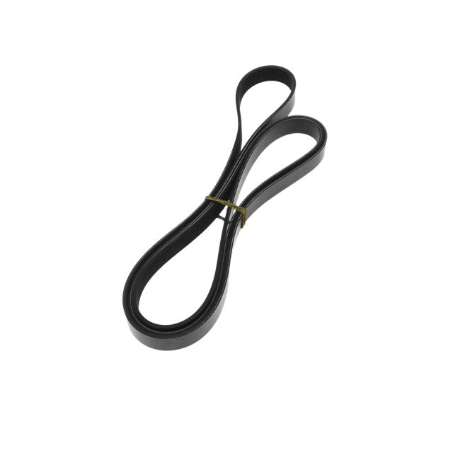 POLY RIB BELT photo 4