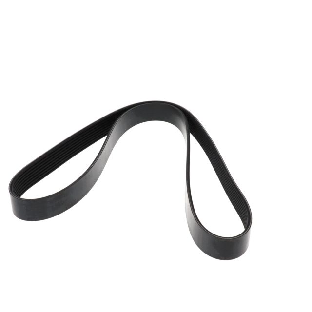 POLY RIB BELT photo 2